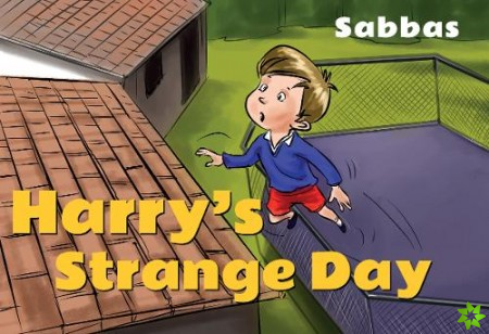 Harry's Strange Day