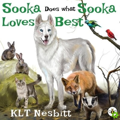Sooka Does What Sooka Loves Best