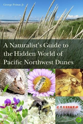 Naturalist's Guide to the Hidden World of Pacific Northwest Dunes