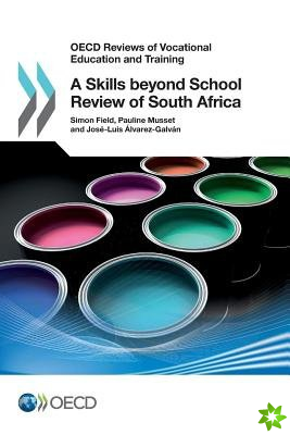 skills beyond school review of South Africa