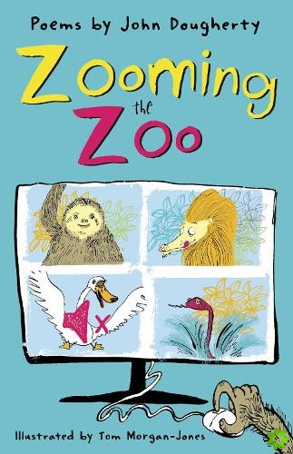 Zooming the Zoo