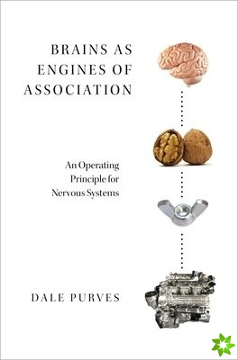 Brains as Engines of Association