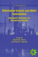 Chlorinated Solvent and DNAPL Remediation
