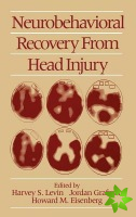Neurobehavioral Recovery from Head Injury