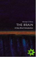 Brain: A Very Short Introduction