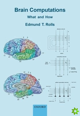 Brain Computations