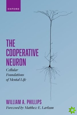Cooperative Neuron