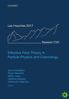Effective Field Theory in Particle Physics and Cosmology