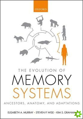 Evolution of Memory Systems