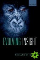 Evolving Insight