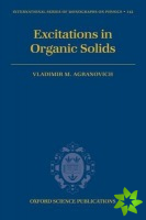 Excitations in Organic Solids