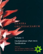 Genera Orchidacearum Volume 3