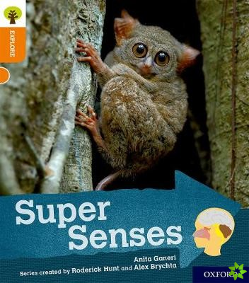 Oxford Reading Tree Explore with Biff, Chip and Kipper: Oxford Level 6: Super Senses