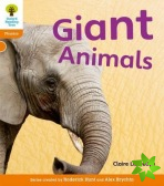 Oxford Reading Tree: Level 6: Floppy's Phonics Non-Fiction: Giant Animals