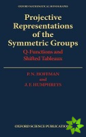Projective Representations of the Symmetric Groups