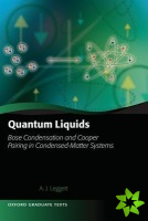 Quantum Liquids