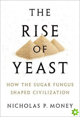Rise of Yeast