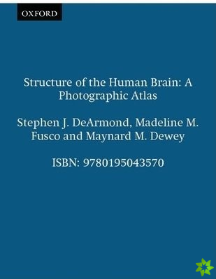 Structure of the Human Brain
