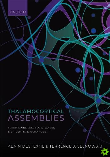 Thalamocortical Assemblies
