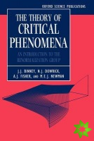 Theory of Critical Phenomena