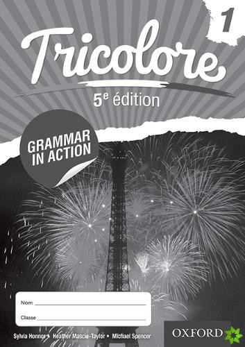 Tricolore 11-14 French Grammar in Action 1 (8 pack)