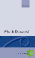 What is Existence?