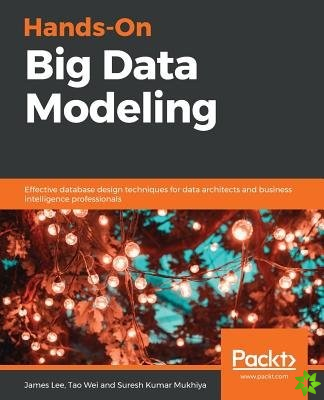 Hands-On Big Data Modeling