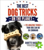 Best Dog Tricks on the Planet
