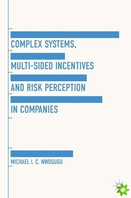 Complex Systems, Multi-Sided Incentives and Risk Perception in Companies