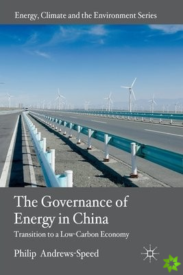 Governance of Energy in China