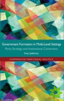 Government formation in Multi-Level Settings