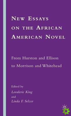 New Essays on the African American Novel