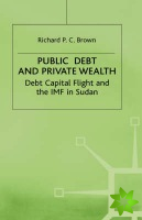 Public Debt and Private Wealth
