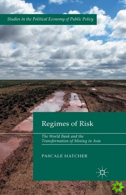 Regimes of Risk