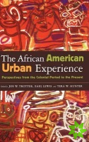 African American Urban Experience