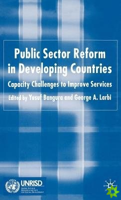 Public Sector Reform in Developing Countries
