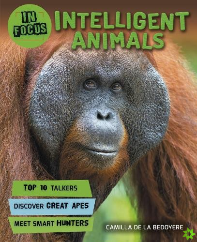 In Focus: Intelligent Animals