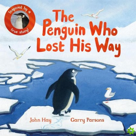 Penguin Who Lost His Way