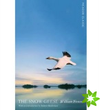 Snow Geese