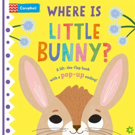 Where is Little Bunny?