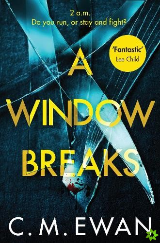 Window Breaks