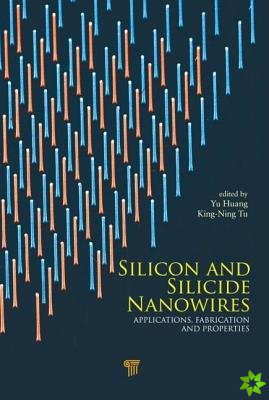 Silicon and Silicide Nanowires