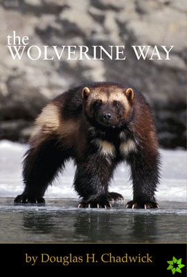 Wolverine Way