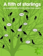 Filth of Starlings: A Compilation of Bird Collective Nouns