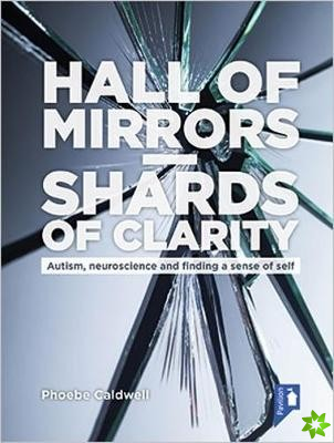 Hall of Mirrors - Shards of Clarity
