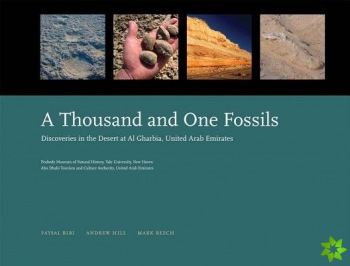 Thousand and One Fossils
