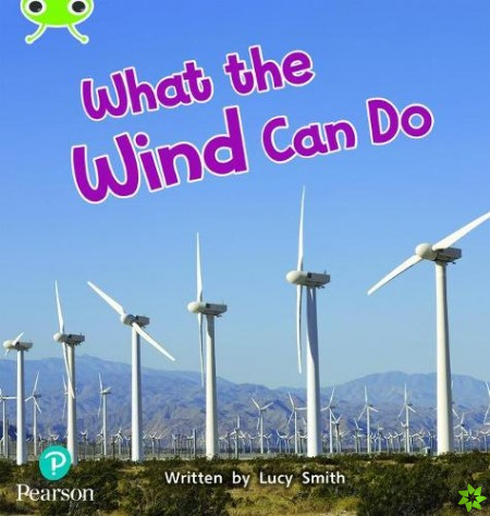 Bug Club Phonics - Phase 5 Unit 16: What the Wind Can Do