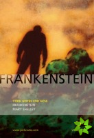 Frankenstein: York Notes for GCSE