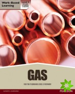 NVQ level 3 Diploma Gas Pathway Candidate handbook