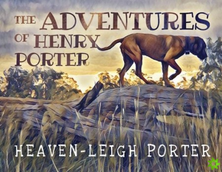 Adventures of Henry Porter